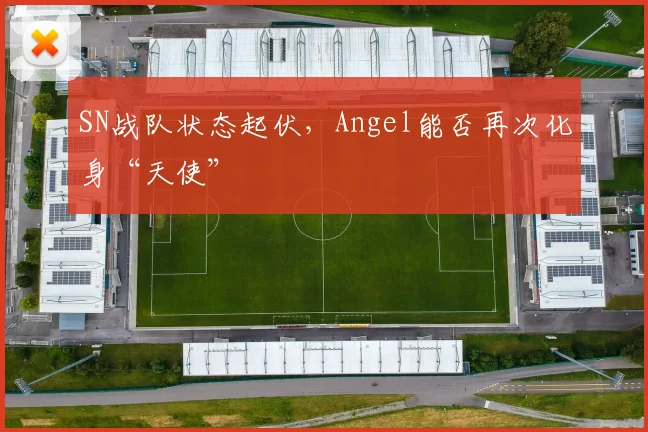 SN战队状态起伏，Angel能否再次化身“天使”