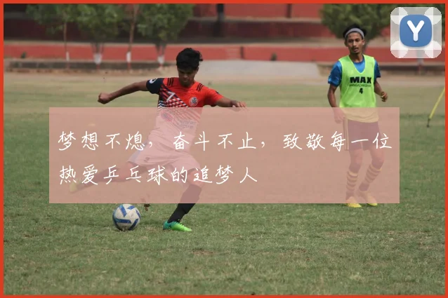 梦想不熄，奋斗不止，致敬每一位热爱乒乓球的追梦人